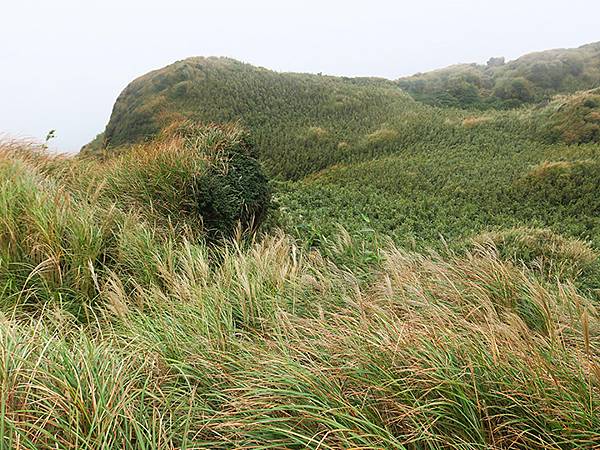 Yangming Mt gd3.JPG Yangming Mt gd3.JPG