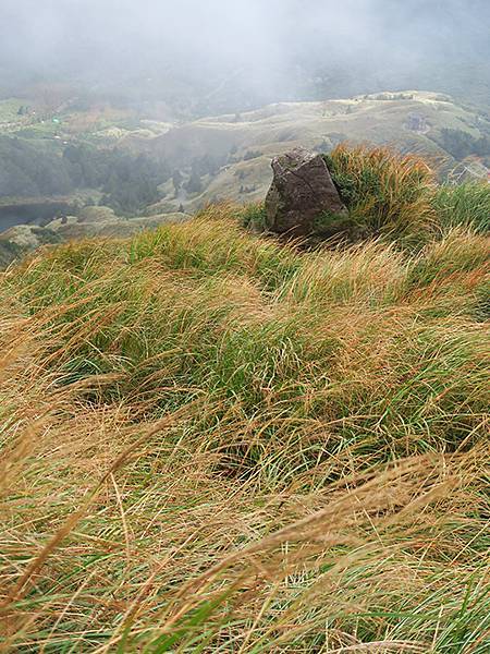 Yangming Mt gd4.JPG Yangming Mt gd4.JPG