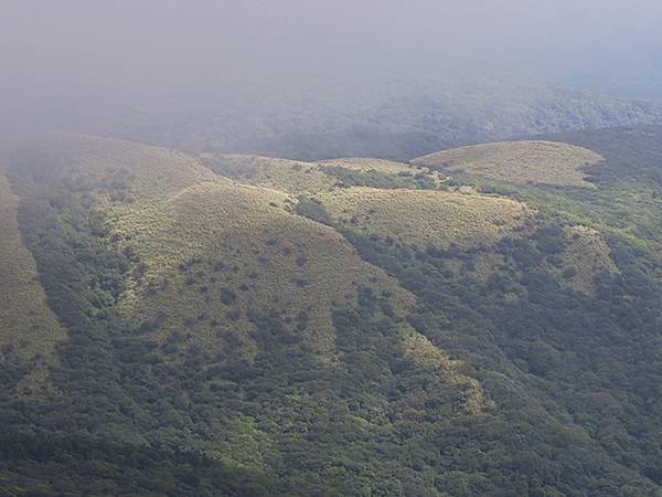 Yangming Mt ge5.JPG Yangming Mt ge5.JPG