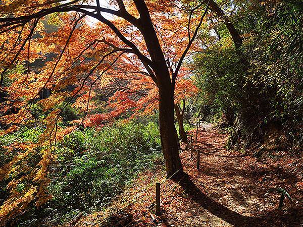 Hoshida Park a4.JPG Hoshida Park a4.JPG