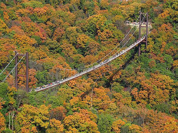 Hoshida Park a1.JPG Hoshida Park a1.JPG