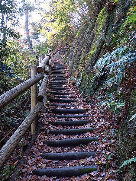 Hoshida Park a5.JPG Hoshida Park a5.JPG