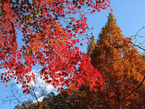Hoshida Park b2.JPG Hoshida Park b2.JPG