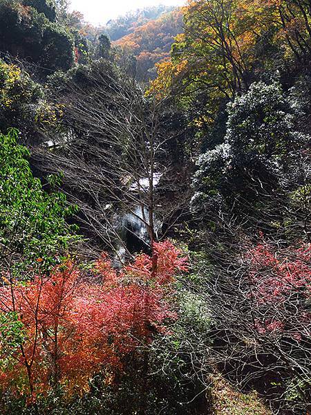 Hoshida Park b6.JPG Hoshida Park b6.JPG
