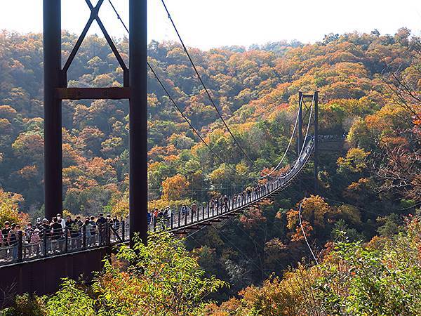 Hoshida Park c3.JPG Hoshida Park c3.JPG