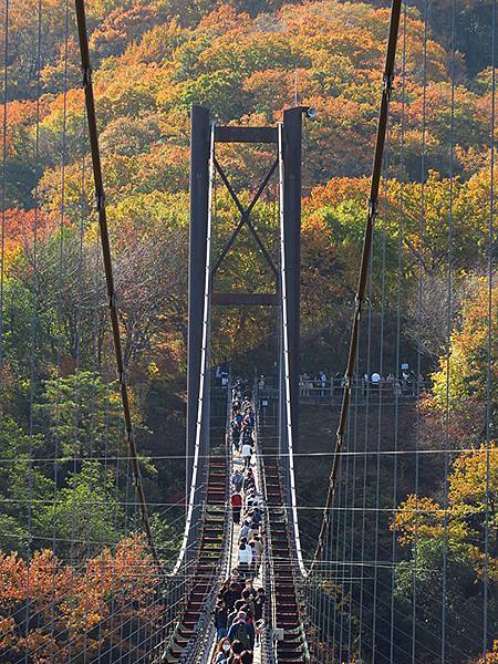Hoshida Park c4.JPG Hoshida Park c4.JPG