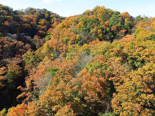 Hoshida Park d2.JPG Hoshida Park d2.JPG