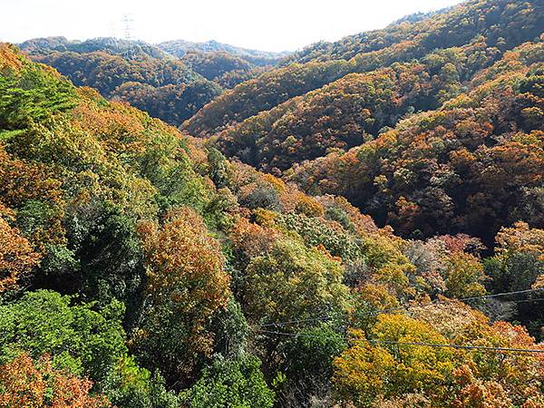 Hoshida Park d3.JPG Hoshida Park d3.JPG