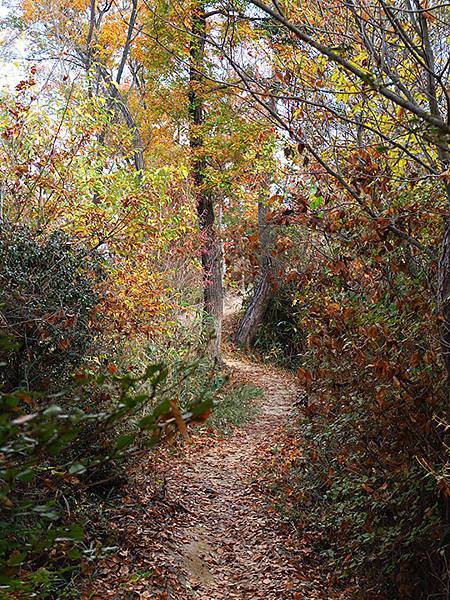 Hoshida Park e1.JPG Hoshida Park e1.JPG