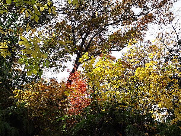 Hoshida Park e2.JPG Hoshida Park e2.JPG