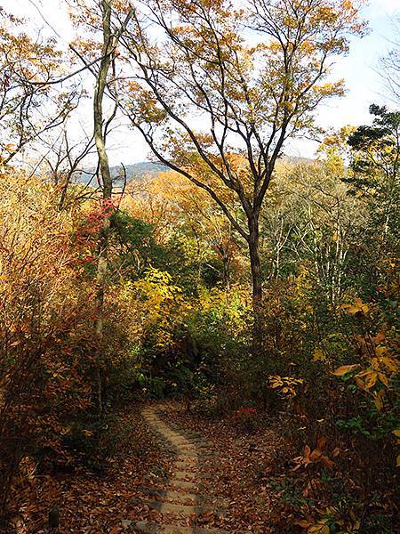Hoshida Park e3.JPG Hoshida Park e3.JPG
