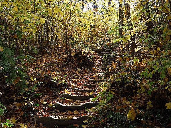 Hoshida Park e4.JPG Hoshida Park e4.JPG