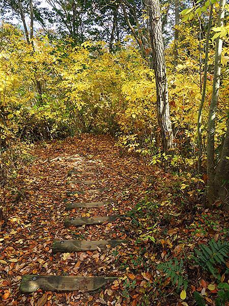 Hoshida Park e5.JPG Hoshida Park e5.JPG