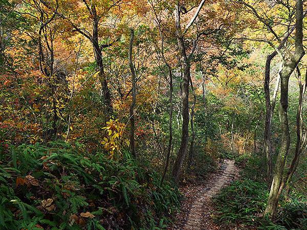 Hoshida Park f1.JPG Hoshida Park f1.JPG