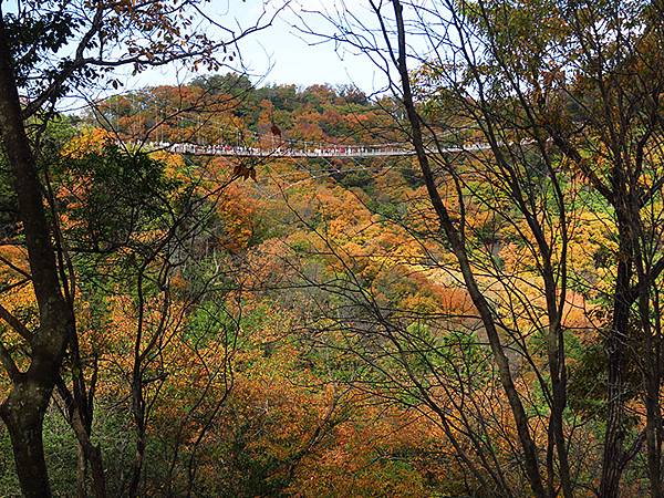 Hoshida Park f3.JPG Hoshida Park f3.JPG