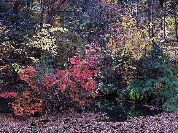 Hoshida Park f4.JPG Hoshida Park f4.JPG
