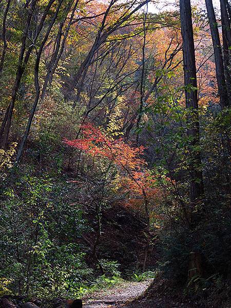 Hoshida Park f5.JPG Hoshida Park f5.JPG