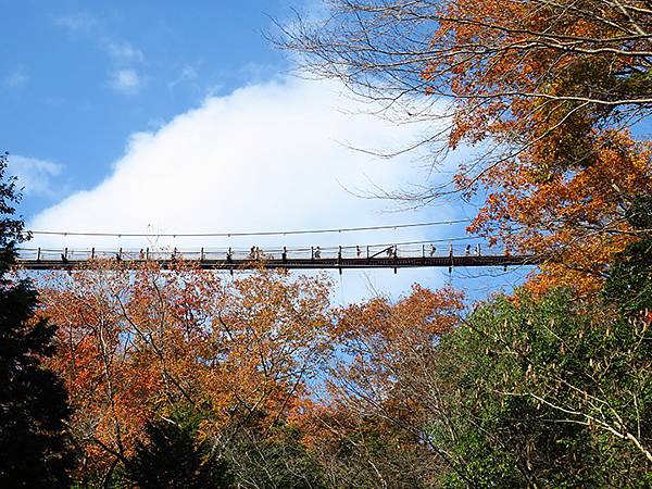 Hoshida Park c2a.JPG Hoshida Park c2a.JPG