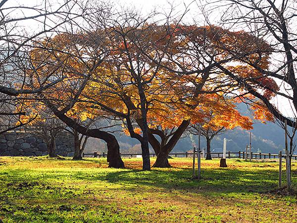 Tottori i7.JPG