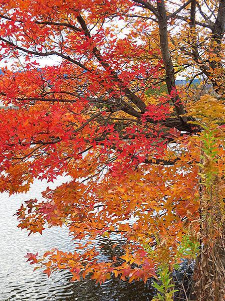 Katata a5.JPG Katata a5.JPG