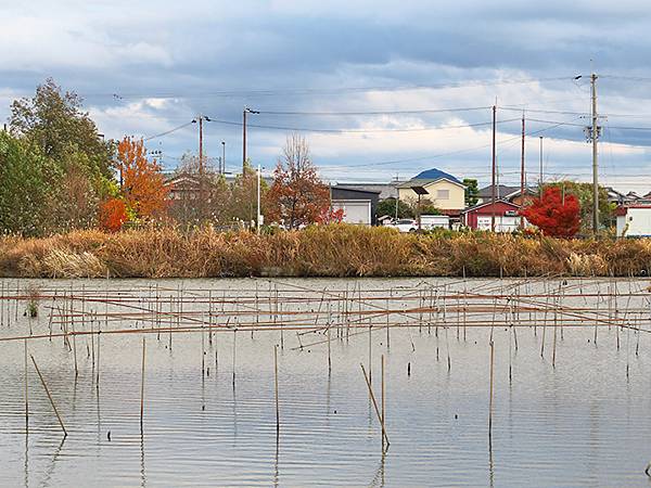 Katata a3.JPG Katata a3.JPG