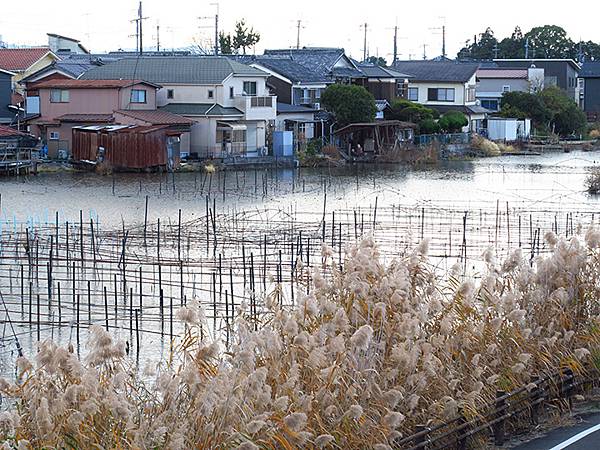 Katata a2.JPG Katata a2.JPG