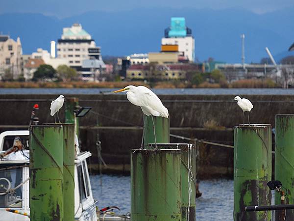 Katata b3.JPG Katata b3.JPG