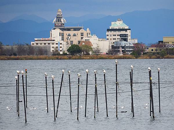 Katata c4.JPG Katata c4.JPG