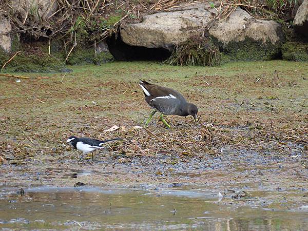 Katata d3.JPG Katata d3.JPG