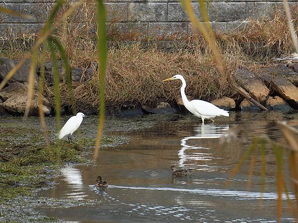 Katata d2.JPG Katata d2.JPG