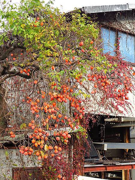 Katata e3.JPG Katata e3.JPG