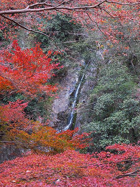 Nunobiki Fall a4.JPG