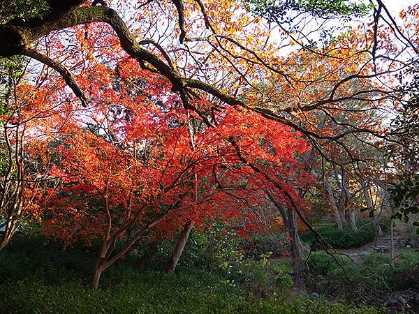 Akashi Park b4.JPG