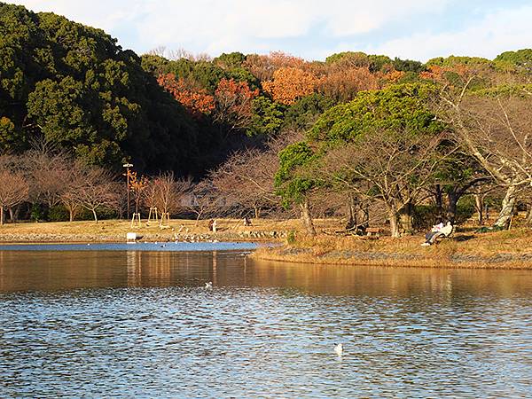 Akashi Park d1.JPG