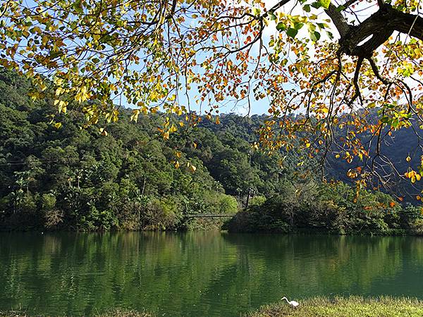 Meihua Lake a1.JPG