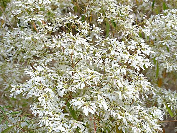 Sinhua n3.JPG Sinhua n3.JPG