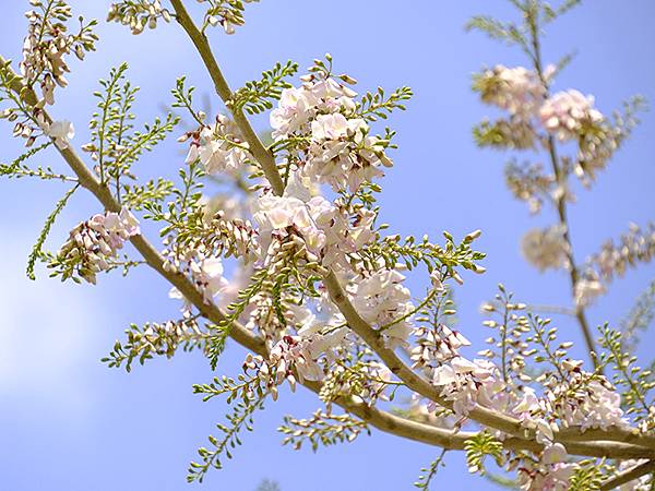 Sinhua n7.JPG Sinhua n7.JPG