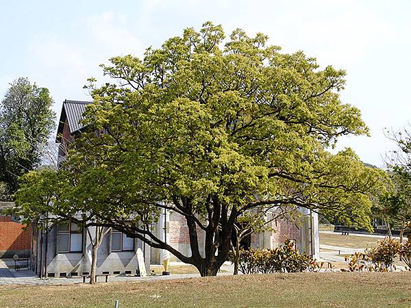 Sinhua o3.JPG Sinhua o3.JPG