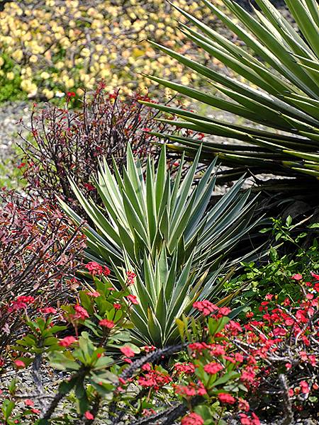 Sinhua o2.JPG Sinhua o2.JPG