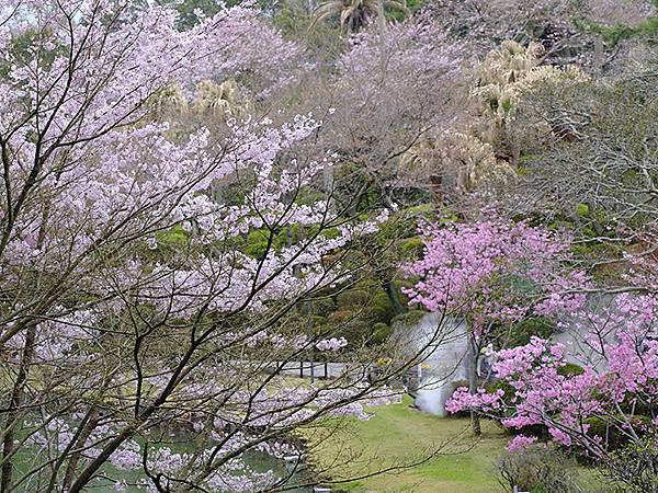 Beppu g5.JPG