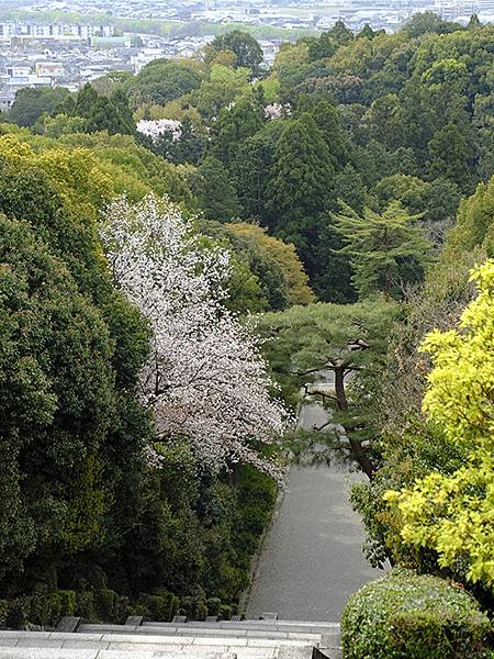 Fushimi a4.JPG Fushimi a4.JPG