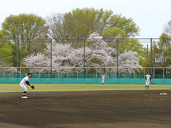 Fushimi a6.JPG Fushimi a6.JPG