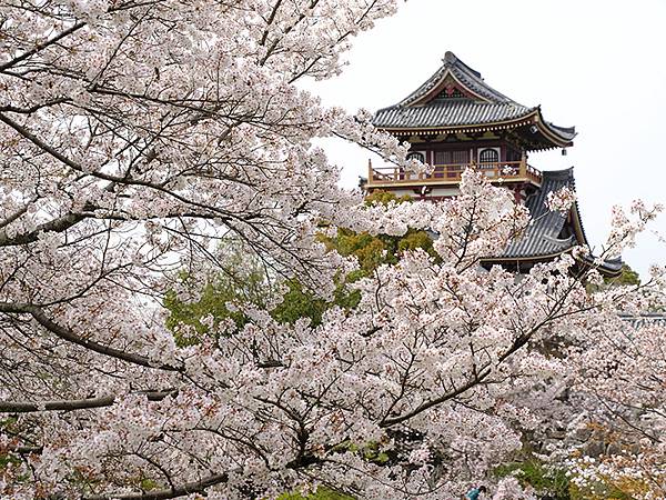 Fushimi a1.JPG Fushimi a1.JPG