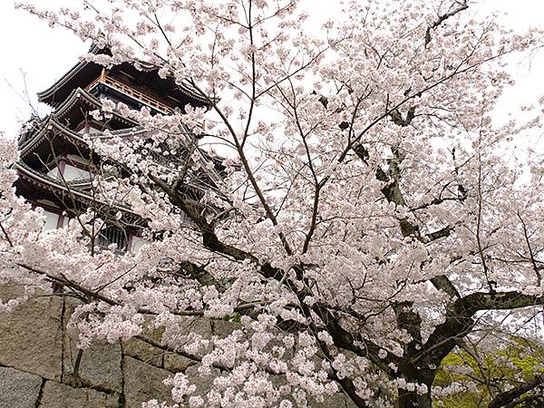 Fushimi b3.JPG Fushimi b3.JPG