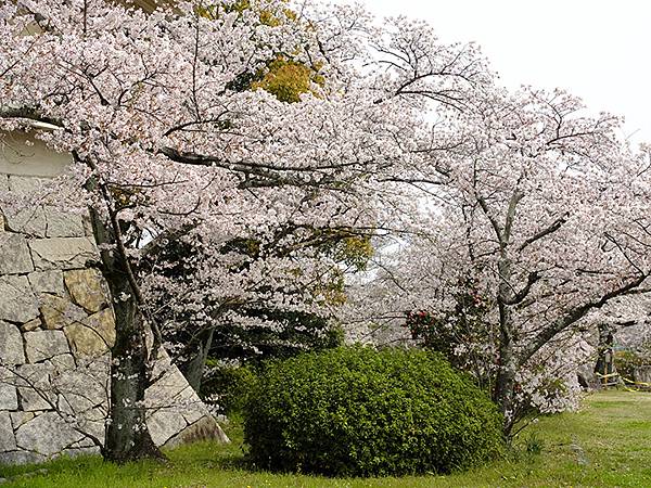 Fushimi b5.JPG Fushimi b5.JPG