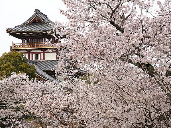 Fushimi b6.JPG Fushimi b6.JPG