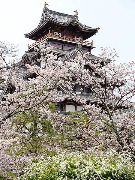 Fushimi b8.JPG Fushimi b8.JPG