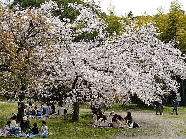 Fushimi c1.JPG Fushimi c1.JPG