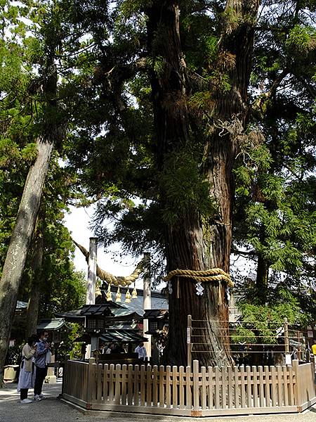 Omiwa a7.JPG Omiwa a7.JPG