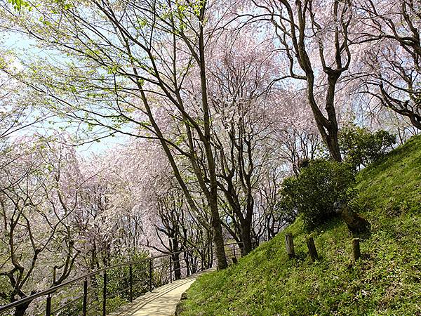 Omiwa e1.JPG Omiwa e1.JPG